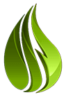 Mold Removal