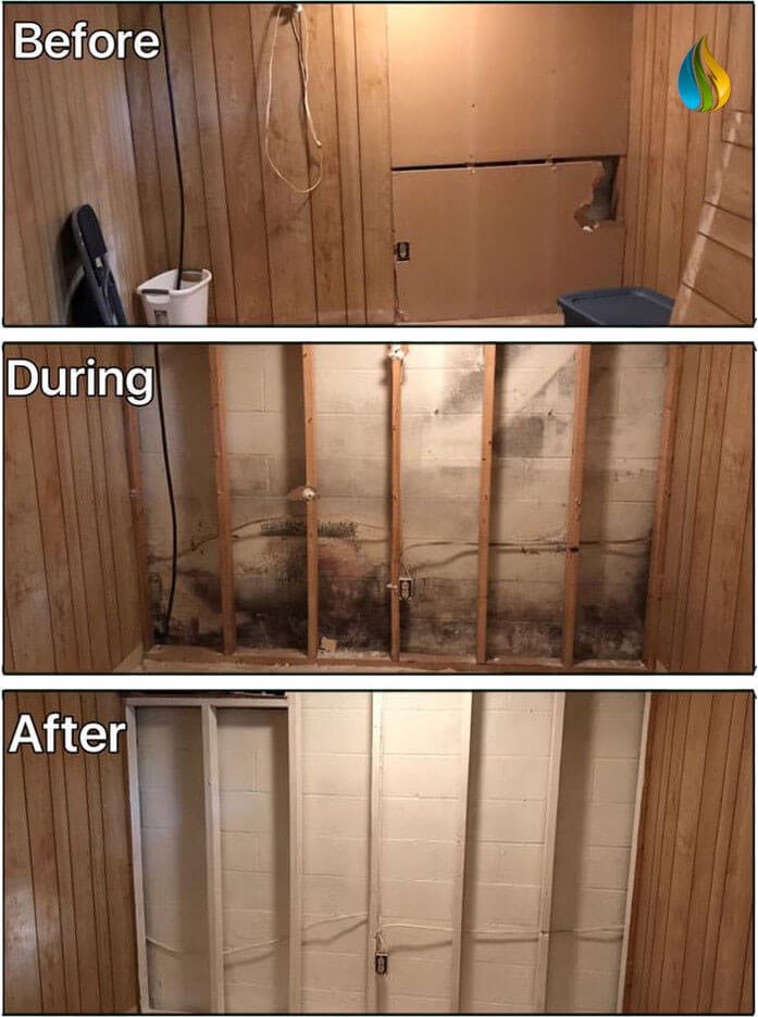 Mold Removal Before & After