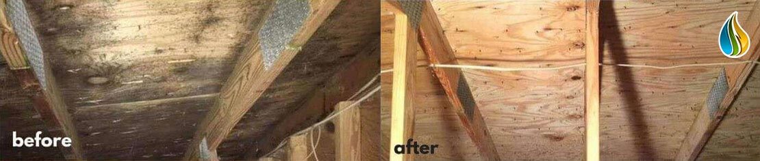 Before & After Mold Removal